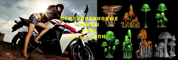 СК Алексеевка