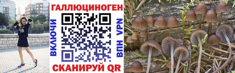 Псилоцибиновые грибы Cubensis  магазин    Талдом 